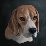 DOG PORTRAIT BEAGLE COMISSION IS OPEN  by Dominichiwe