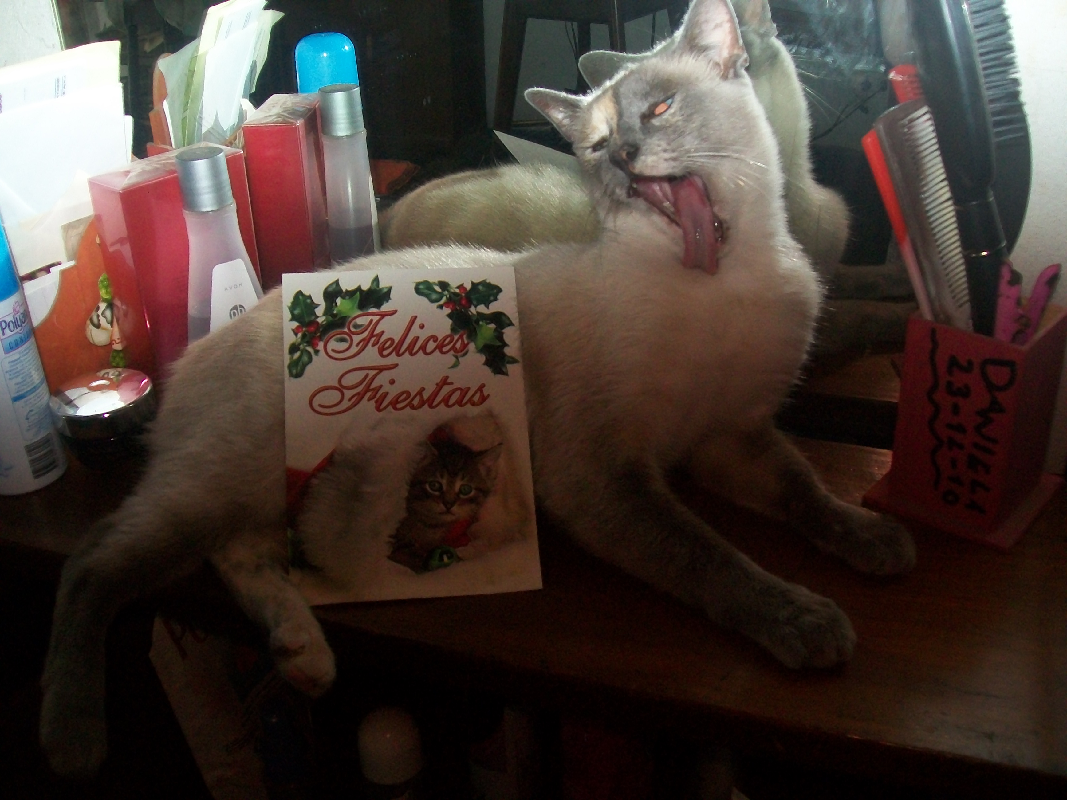 Lili wishes you a Happy holidays and 2013. o3o