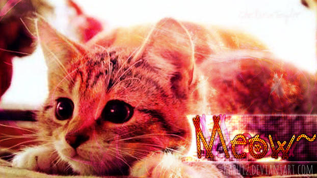 Wallpaper-Kitty