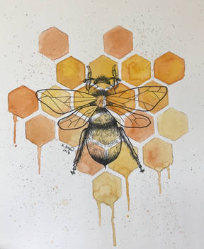 Save the Bees