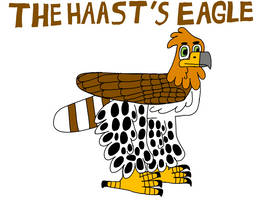 Haast's eagle
