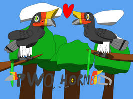 Two Hornbills Cover Art