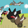 The Ostrich Marathon
