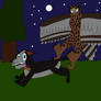 The Owl Chases Cat
