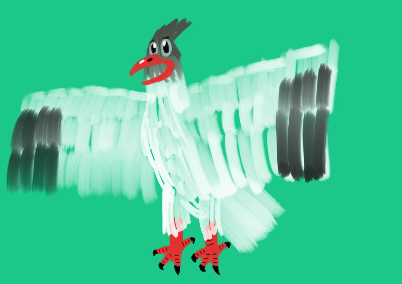 Black-Headed Gull Painting