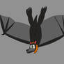 Grey-Headed Flying Fox