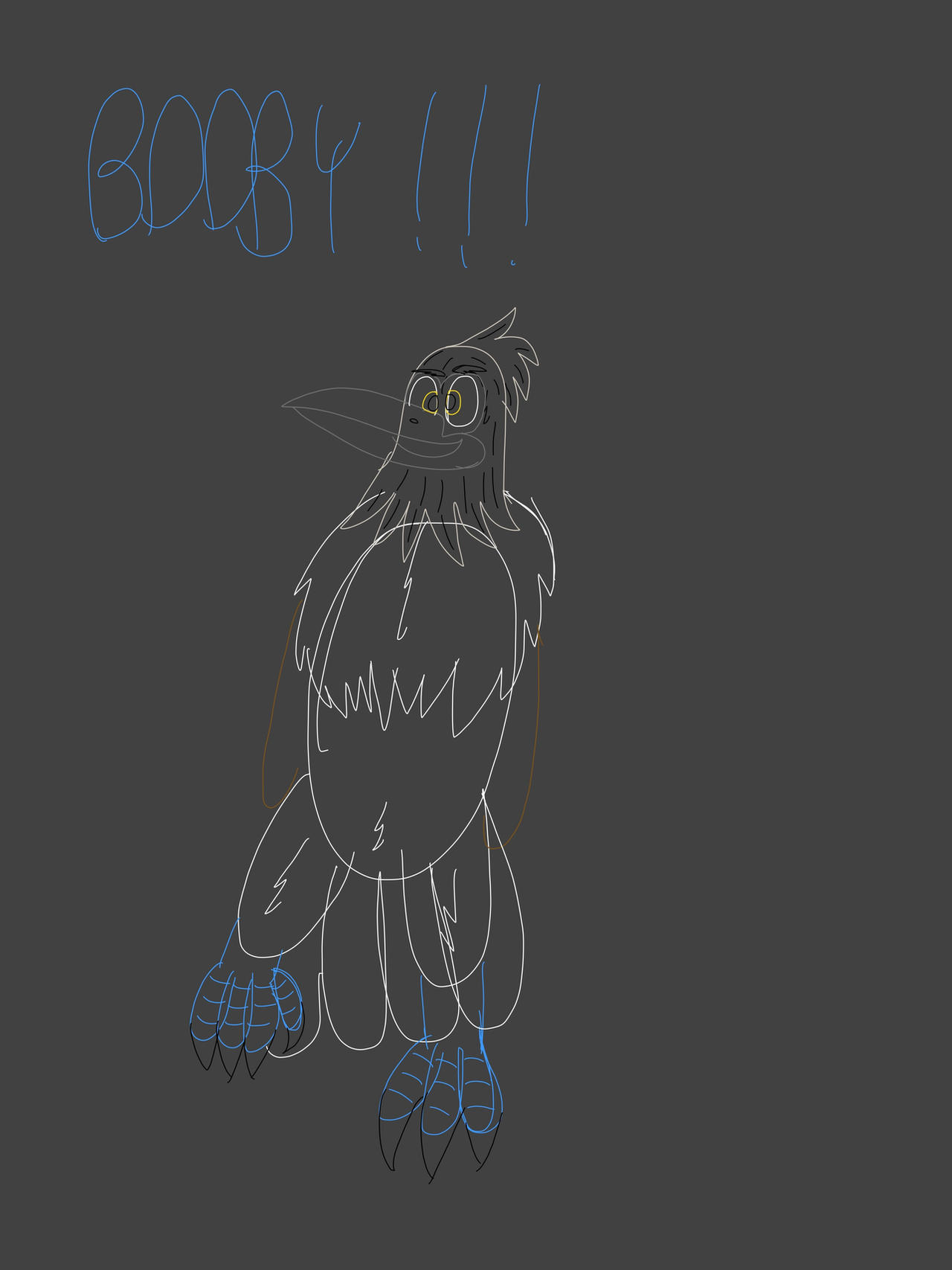 Blue-Footed Booby Dance Sketch
