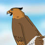 Koe the Haast Eagle by Bilithecapybara