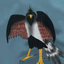 Haast Eagle by bilithecapybara