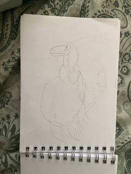 Chubby Dimorphodon