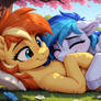 Pony Banner May 2026