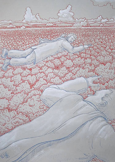 Flying over the Endless woods