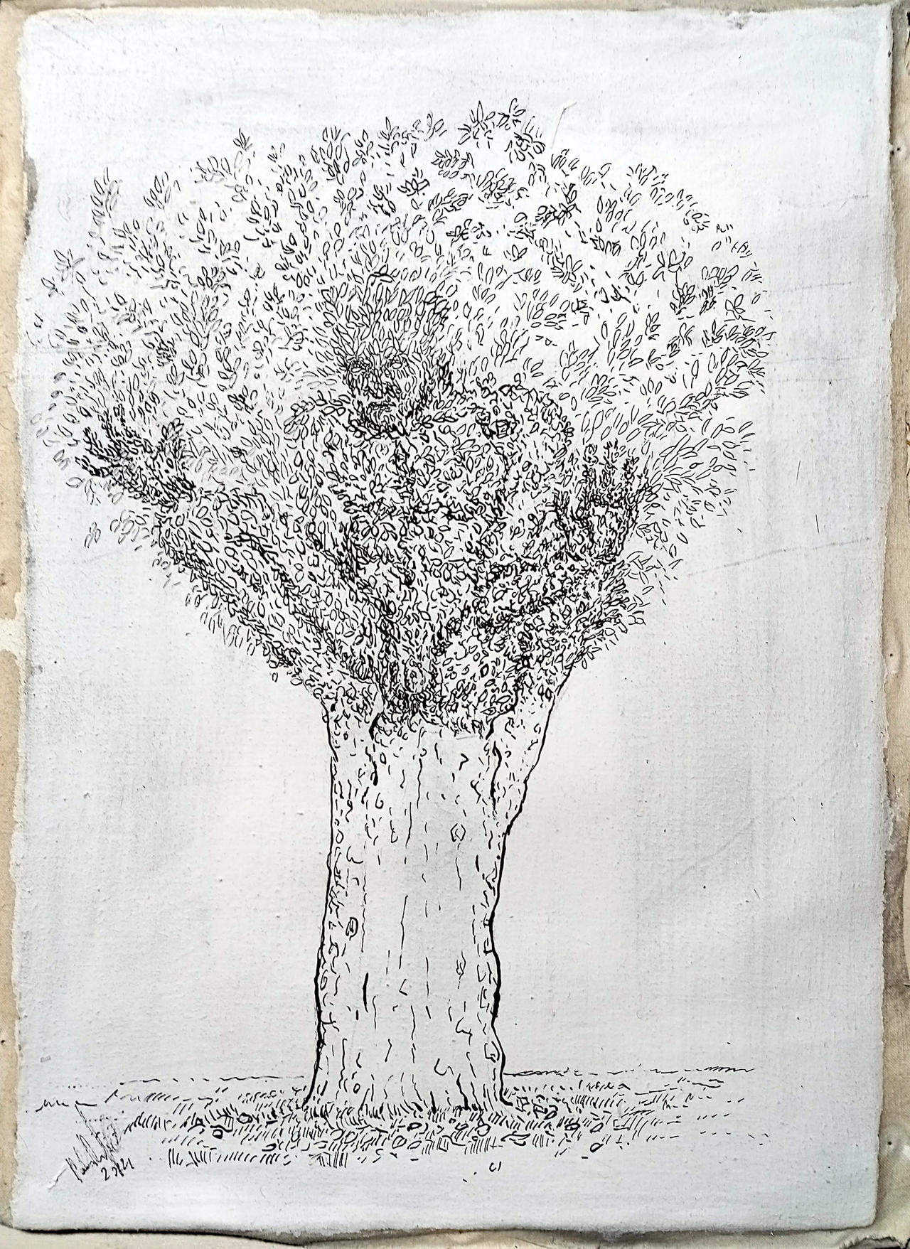 Tree - Ink on canvas by pbeneforti on DeviantArt