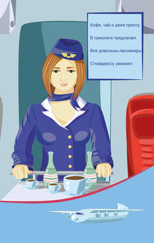 The stewardess