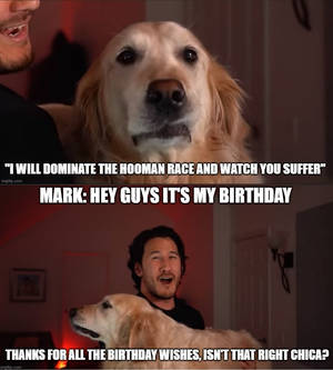 Happy birthday Markiplier