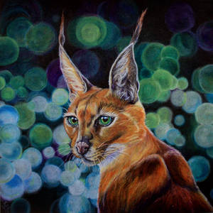 Caracal