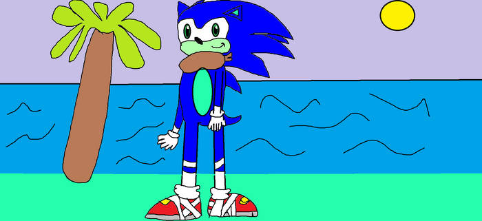 Sonic at the Beach