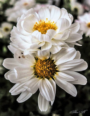 Love Song In October by sesam-is-open