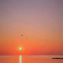 My Hello To Another Day