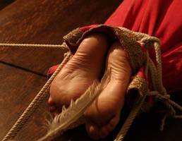Medieval torture_feet
