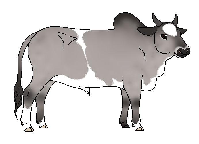 Durian - Mini Zebu by CascadiaRiverKennels on DeviantArt