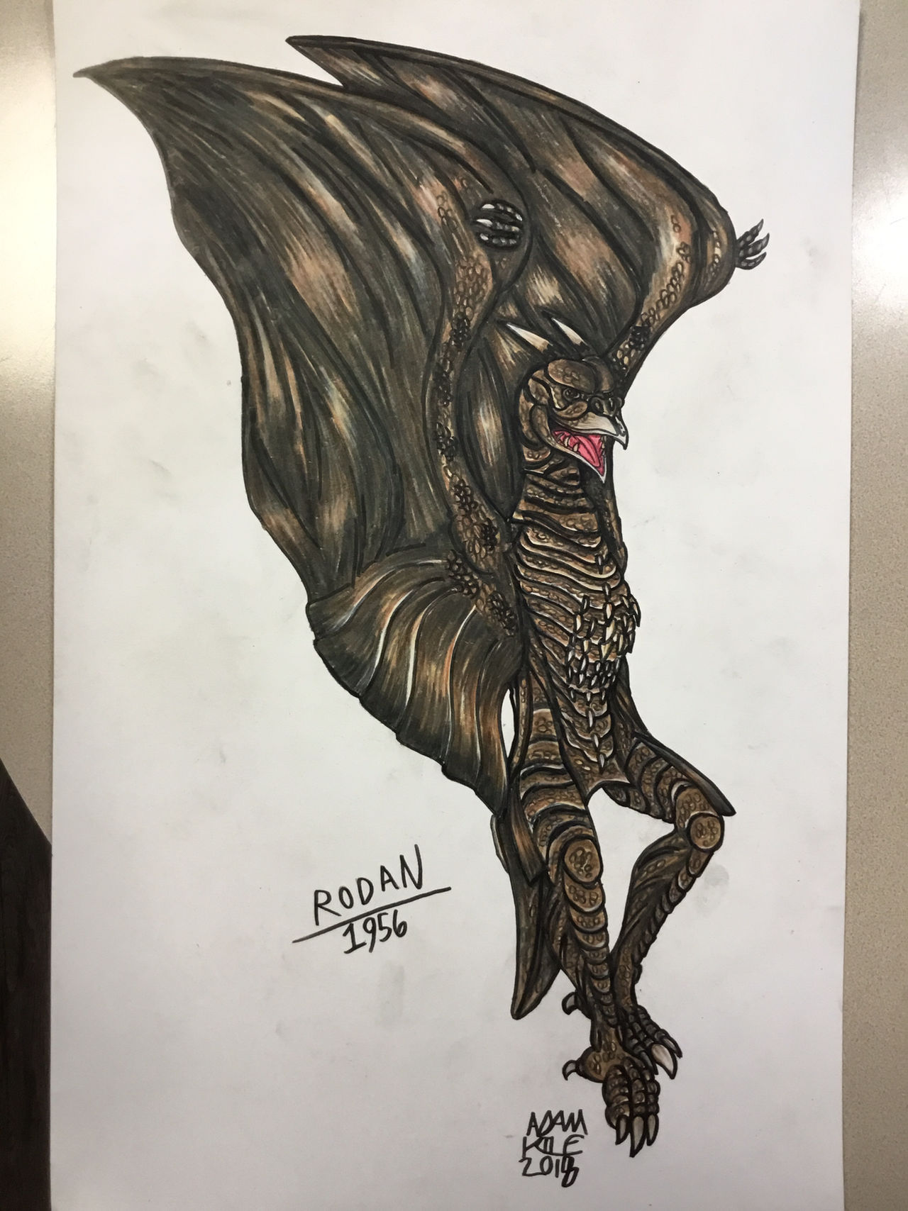 Rodan 1956 Colored Version by GodzillaMan84 on DeviantArt