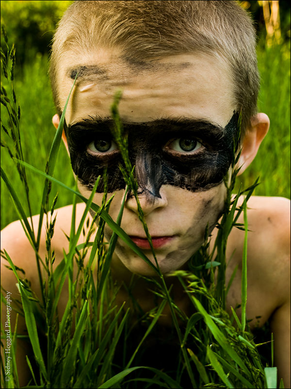 Raccoon by PhoenixViscount on DeviantArt