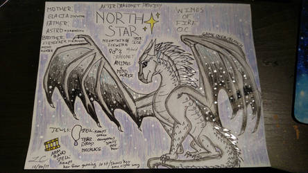 NorthStar The Hybrid