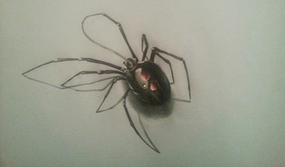 3D spider by Mario