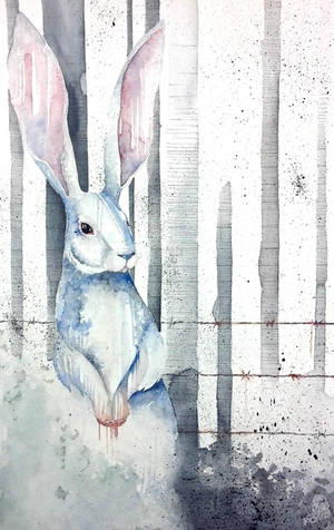 Chasing Rabbits by TheMercenaryLaughs Chasing Rabbits by TheMercenaryLaughs