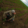 sugarcane season