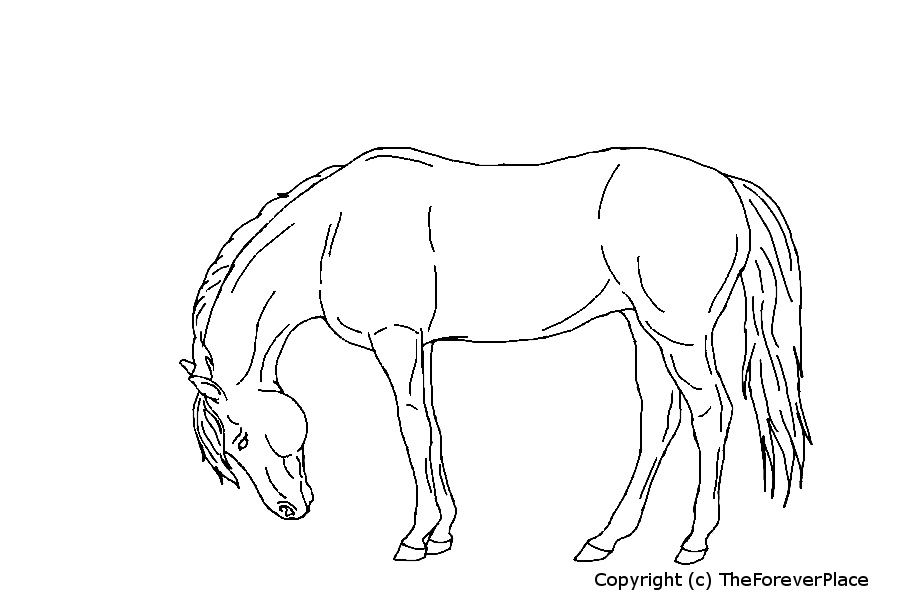 Horse Lineart