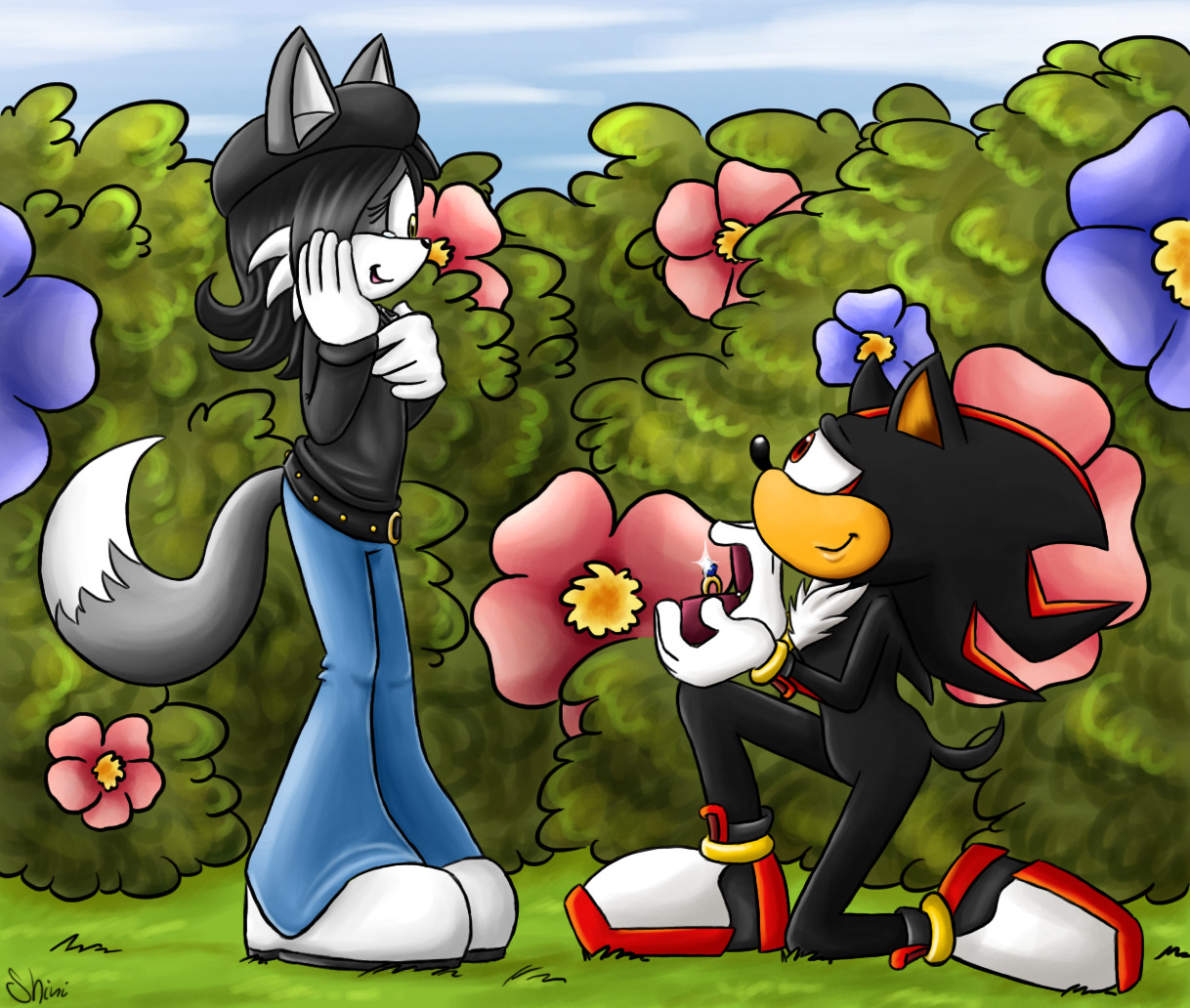 My mixesger of sonic and shadow(not ship) by crownkk2 on DeviantArt