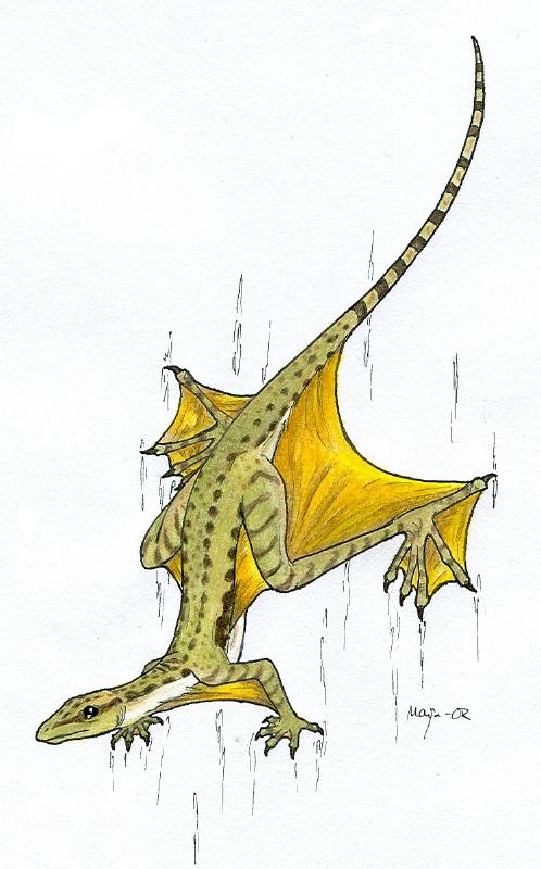 Sharovipteryx mirabilis by Eurwentala