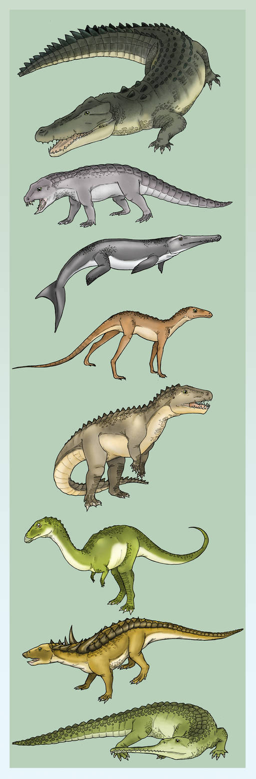 Diversity of the Crurotarsi by Eurwentala