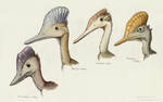 Pterosaur Portraits