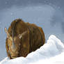 Winter Rhino