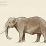 The Smallest Elephant