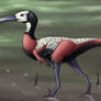 Candeleros Stork
