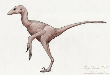 Naked Anchiornis