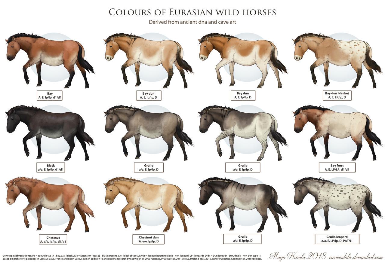 Wild Horses 3 by Eurwentala