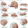 Rat Body Language