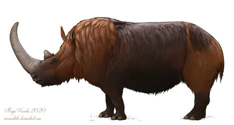 Woolly Rhino