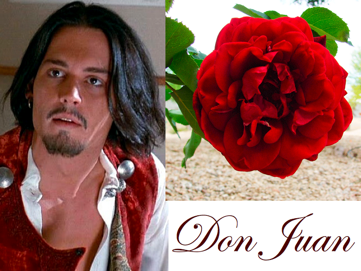 Don Juan