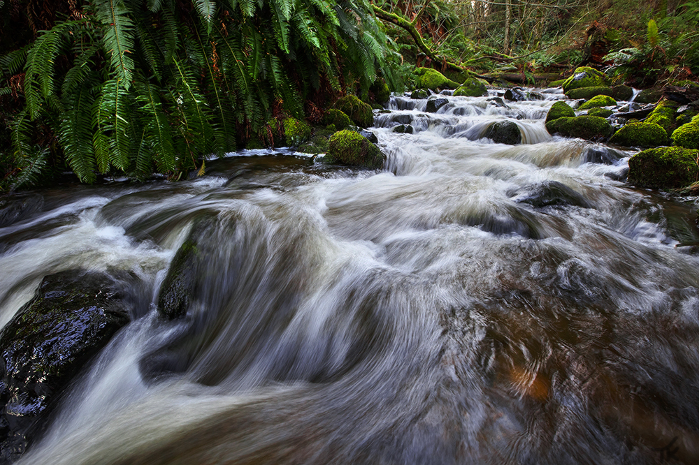 Seal Bay Flows