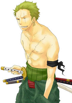 Zoro - New World