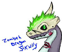 iScribble Skully