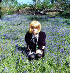 Alois Trancy~ My Favourite Flower... by PandoraBakura