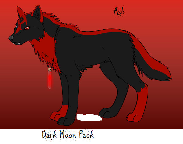 Ash Wolves Ash Wolf by zetsu180 on DeviantArt