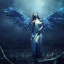 Blue Blade Angel Photo Manipulation Photoshop